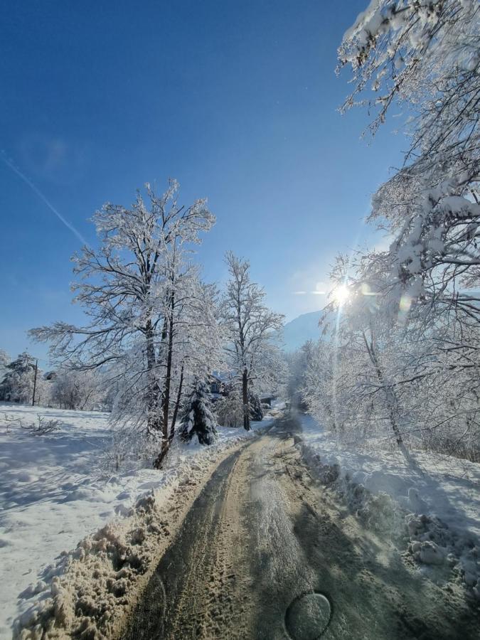 Karpielowka 77 Pokoje Goscinne กอสเชียลิสกอ ภายนอก รูปภาพ